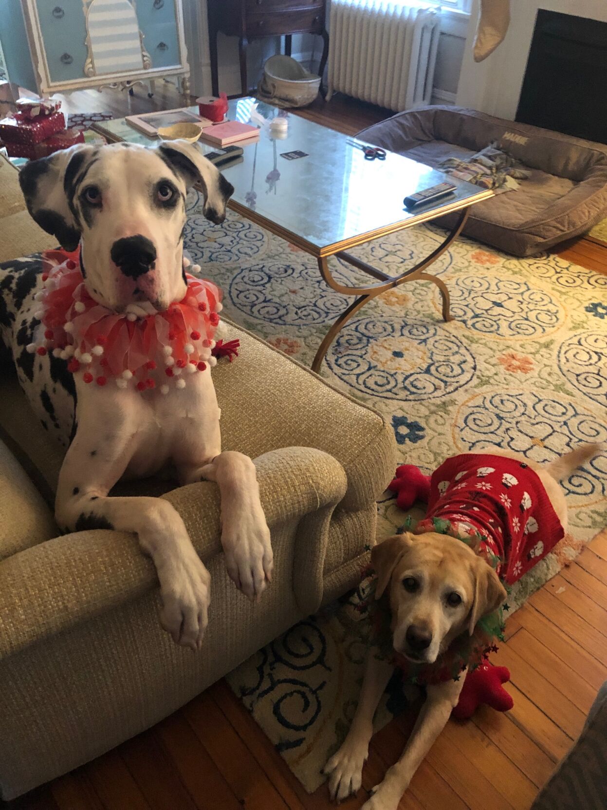 Dane2